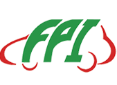 Partner 3